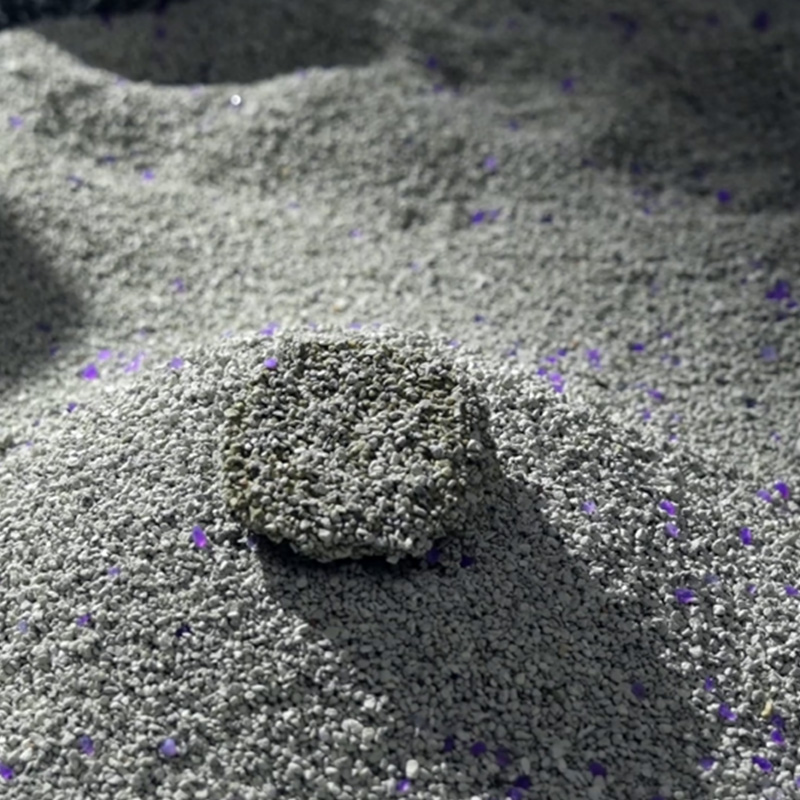 Минеральный наполнитель для кошачьего туалета: практическое руководство по преимуществам, использованию и выбору лучшего