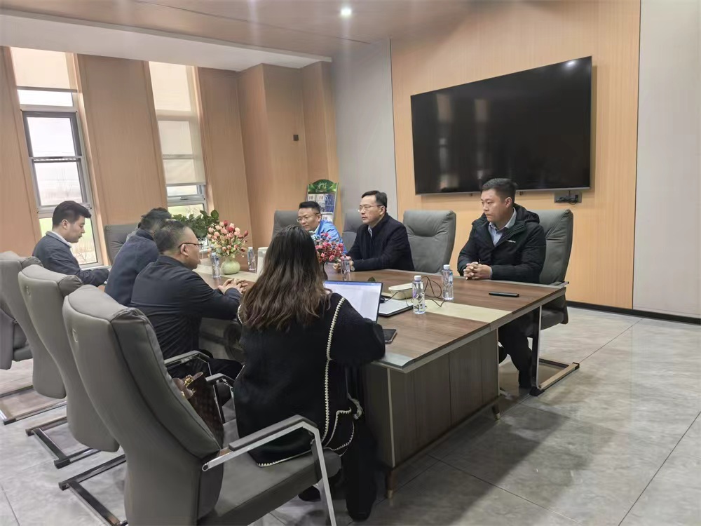 Hi-Speed ​​New Energy Group приехала в искренний визит и обмен